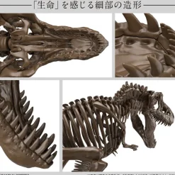Bandai Spirits 1/32 Imaginary Skeleton Tyrannosaurus Plastic Model Outlet