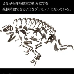 Bandai Spirits 1/32 Imaginary Skeleton Tyrannosaurus Plastic Model Outlet