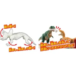Best Takara Tomy Ania Ania Zukan My First Dinosaur Strong One on Land Set