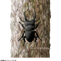 Outlet Takara Tomy Ania AS-41 Dorcus Titanus