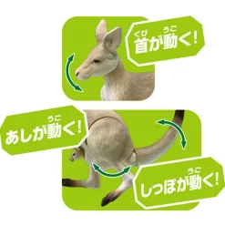 Takara Tomy Ania AS-21 Giant Kangaroo Outlet