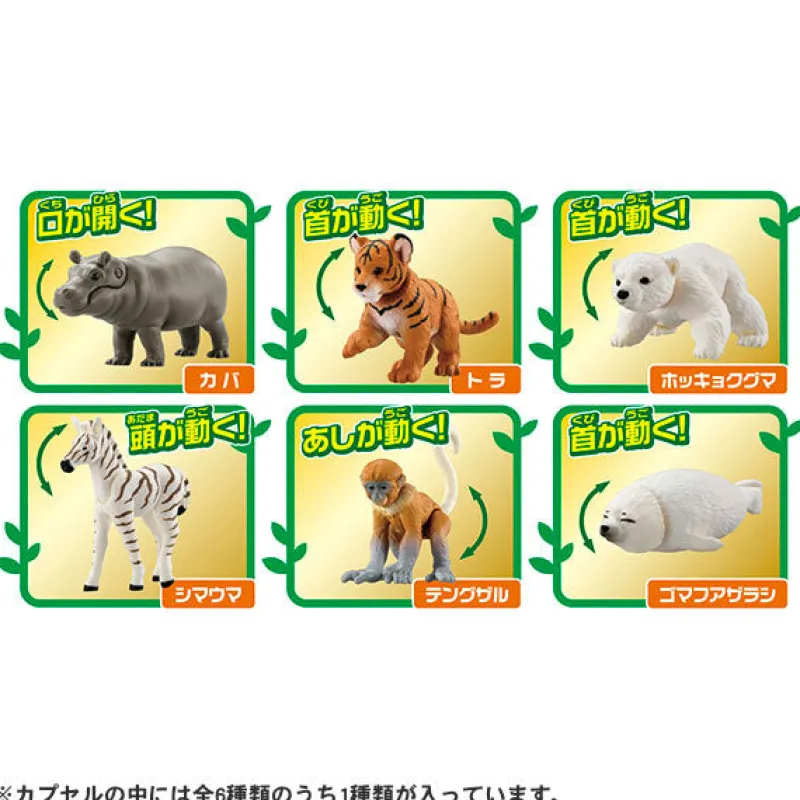 Takara Tomy Ania Gacha and Korokoro Capsule 2 12Pack BOX Discount