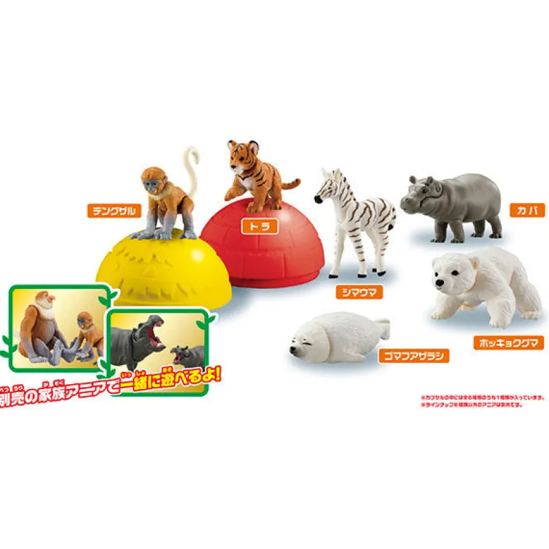 Takara Tomy Ania Gacha and Korokoro Capsule 2 12Pack BOX Discount