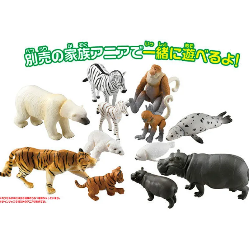 Takara Tomy Ania Gacha and Korokoro Capsule 2 12Pack BOX Discount
