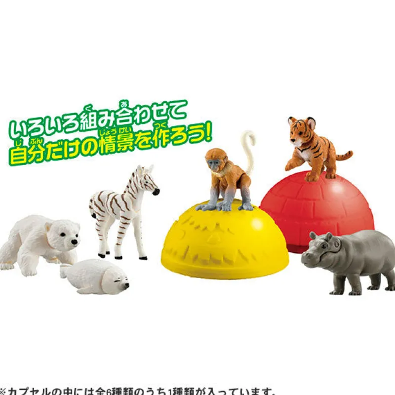 Takara Tomy Ania Gacha and Korokoro Capsule 2 12Pack BOX Discount