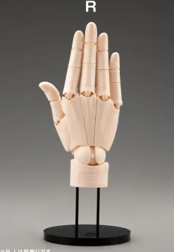 Kotobukiya Artist Support Item - Hand Model - 1/1 - R Pale Orange New