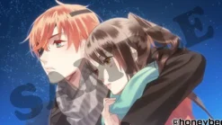 Outlet Honey Bee Ayakashi Gohan Oomori!