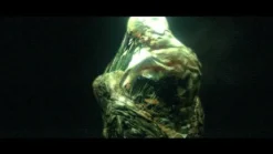 Hot Capcom Biohazard 6