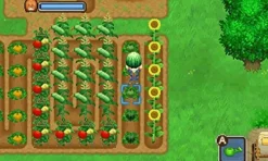 Marvelous Entertainment BOKUJOU MONOGATARI FUTAGO NO MURA+ Online