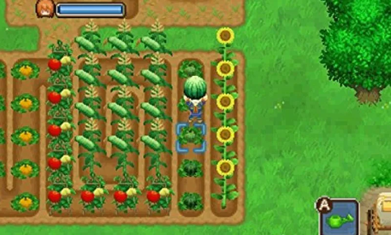 Marvelous Entertainment BOKUJOU MONOGATARI FUTAGO NO MURA+ Online