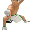 16 directions 16d Figure Collection Legend Masters Tenshin Nasukawa Clearance