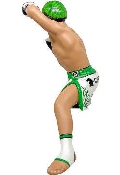 16 directions 16d Figure Collection Legend Masters Tenshin Nasukawa Clearance