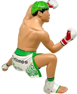 16 directions 16d Figure Collection Legend Masters Tenshin Nasukawa Clearance