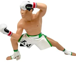 16 directions 16d Figure Collection Legend Masters Tenshin Nasukawa Clearance