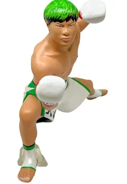 16 directions 16d Figure Collection Legend Masters Tenshin Nasukawa Clearance