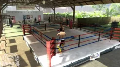 Outlet Electronic Arts EA Sports MMA