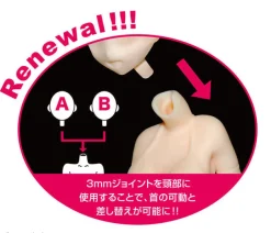 FREEing Fate/Grand Order - Frankenstein - S-style - 1/12 - Saber New