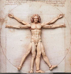 FREEing Figma #SP-075 - The Table Museum - Vitruvian Man 2022 Re-release Sale