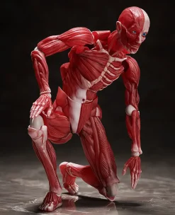 FREEing Figma #SP-142 - The Table Museum - Human Body Model