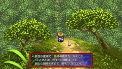 Chunsoft Fushigi no Dungeon Fuurai no Shiren 5 Plus: Fortun Tower to Unmei no Dice New