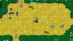 Chunsoft Fushigi no Dungeon Fuurai no Shiren 5 Plus: Fortun Tower to Unmei no Dice New