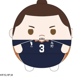 Takara Tomy A.R.T.S Haikyuu!! - Azumane Asahi - Fuwa Kororin Big