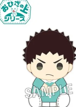 PROOF Haikyuu!! - Iwaizumi Hajime - O Hiza no Ue Series Best