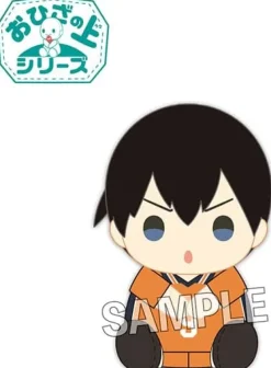 Best PROOF Haikyuu!! - Kageyama Tobio - O Hiza no Ue Series