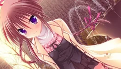 Entergram Hatsuyuki Sakura Outlet