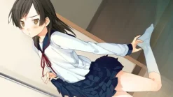 Clearance GN Software Ima Sugu Onii-chan ni Imouto datte Iitai [Limited Edition]