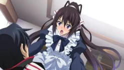 5pb Infinite Stratos 2: Ignition Hearts Outlet