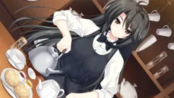 Yeti Kosyoku Meikyu Rinbukyoku: La Role de fortune [Limited Edition] New