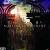 Discount Kadokawa Shoten Natural Doctrine