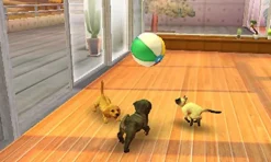 Nintendo gs + Cats: French Bulldog & New Friends (Happy Price Selection) Clearance