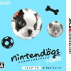 Nintendo gs + Cats: French Bulldog & New Friends
