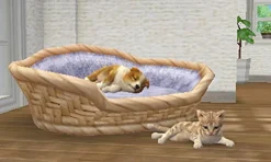 New NintendoRated By Our Customers Nintendogs + Cats: Shiba & New Friends (Happy Price Selection)