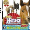 Best MTO Petz Horsez (Casual Series 2980)