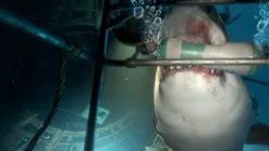 Sale Sony Computer Entertainment Playstation VR Worlds