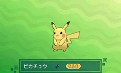 Nintendo Pokemon Sun Outlet