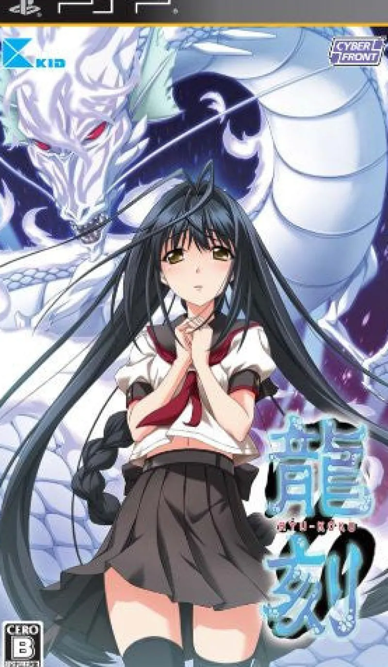 Hot Cyber Front Ryu-koku