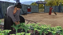 Online SegaRated By Our Customers Ryuu ga Gotoku Ishin! (New Price Version)