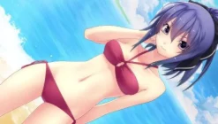 Compile Tacchi, Shiyo! Love Application [Limited Edition]