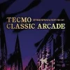 Tecmo Classic Arcade Discount