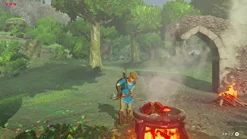 Nintendo The Legend of Zelda: Breath of the Wild Clearance