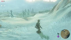 Nintendo The Legend of Zelda: Breath of the Wild Clearance