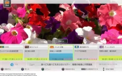 Sony Computer Entertainment Torne DVR & DTV Tuner