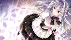 Best Piacci Traveling Stars