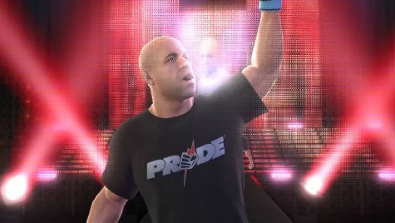 Online THQ UFC Undisputed 3