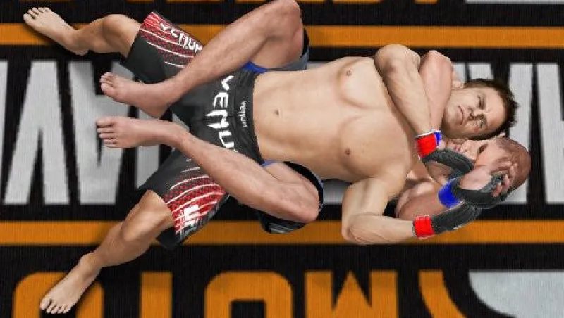 Online THQ UFC Undisputed 3