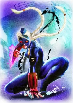 Capcom Ultra Street Fighter IV [Collector's Package] Discount